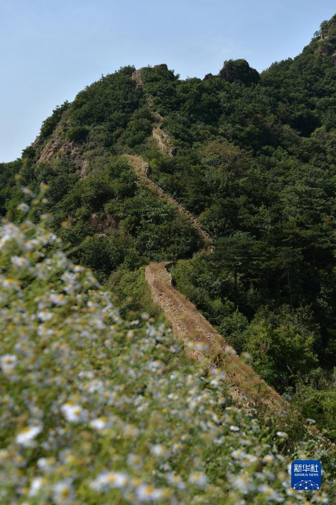 开户送8-88元自助